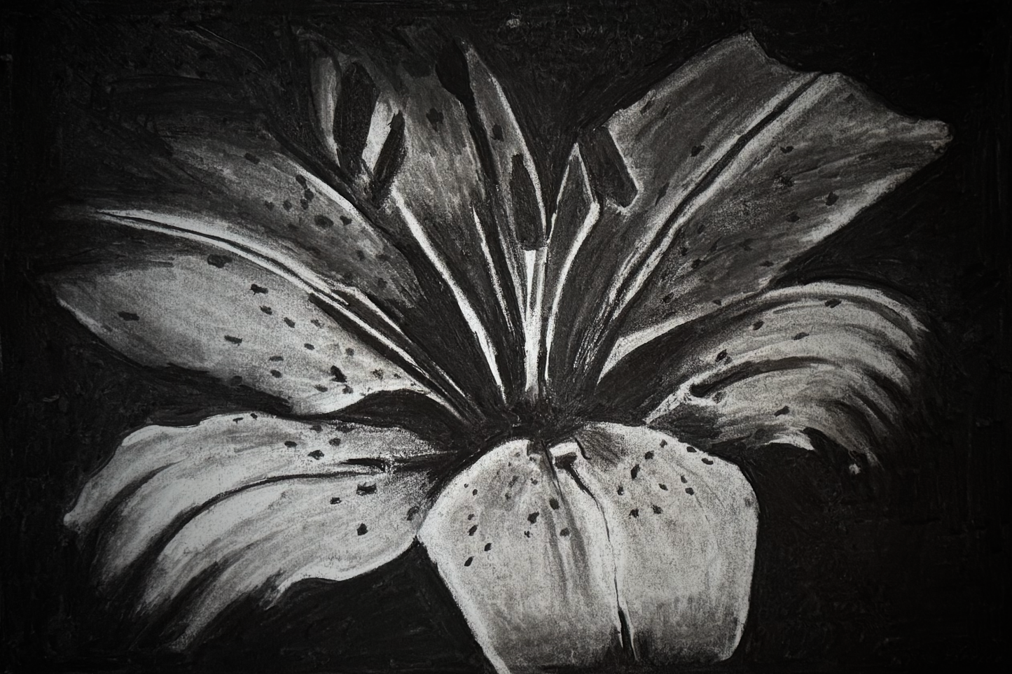 Charcoal Lily Print