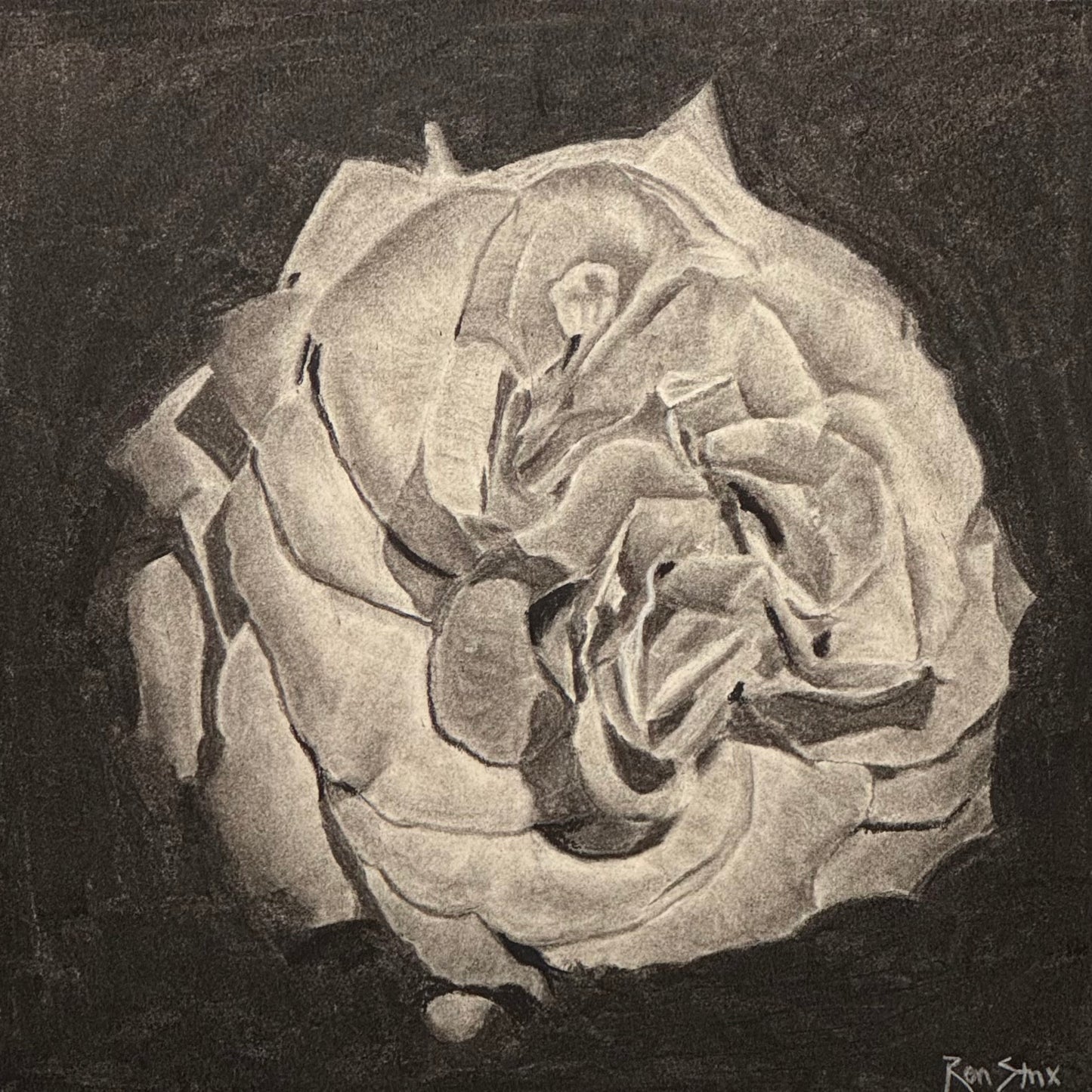 Charcoal Rose #2
